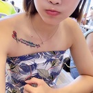 檢視主持人檔案